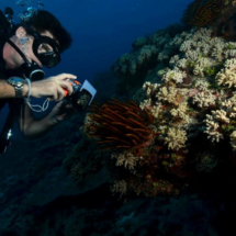 Director_presenter Craig Leeson photographing coral