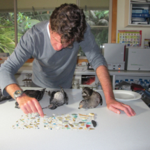 Presenter Craig Leeson counting plastic found in Shearwater